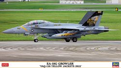 02461 EA18G GROWLER VAQ138 YELLOW 2022 box2